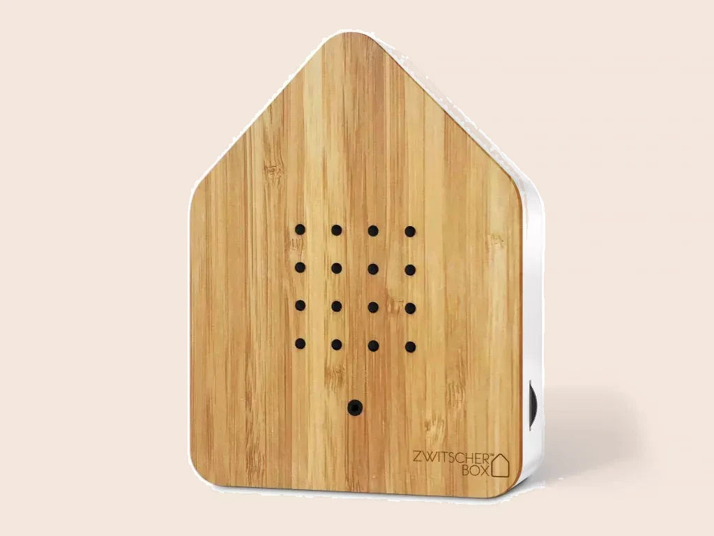 Zwitscherbox Bamboo