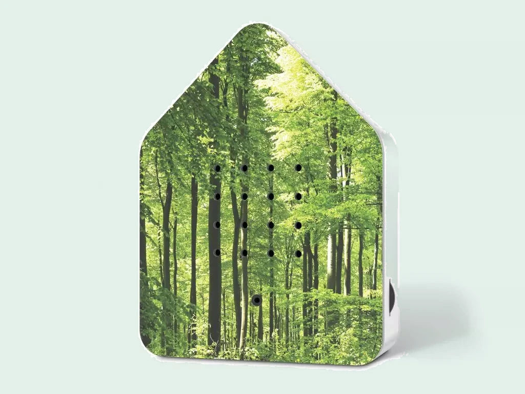 Zwitscherbox Forest