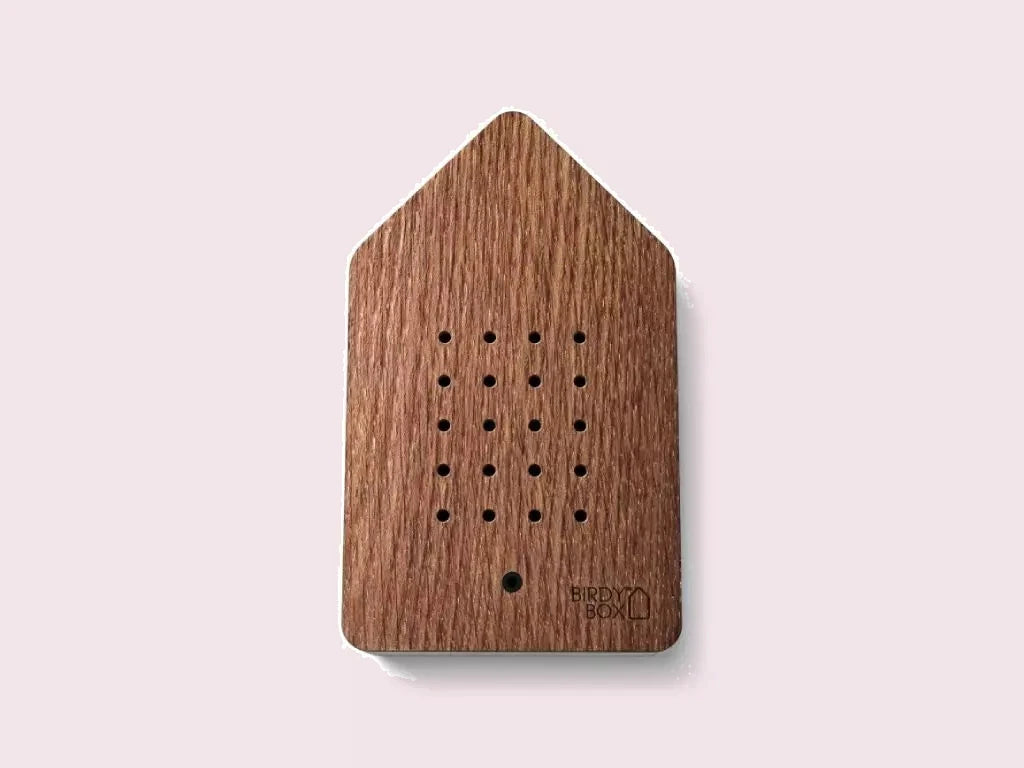 Chêne cuit à la vapeur Birdybox