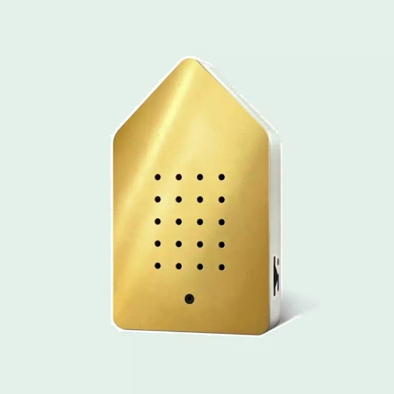 Birdybox Golden Brass