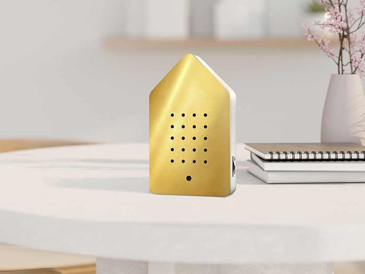 Birdybox en laiton doré