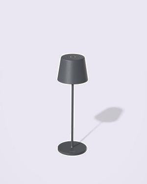 PALMA LED DIM. H36CM ANTRACIET
