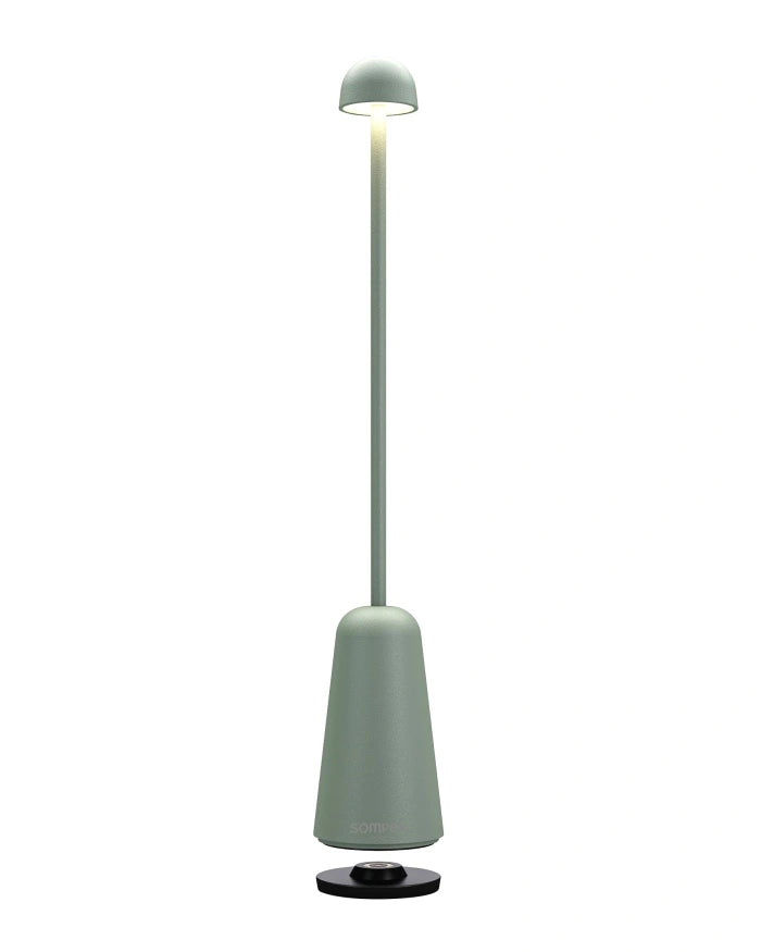 MINIMAX sage