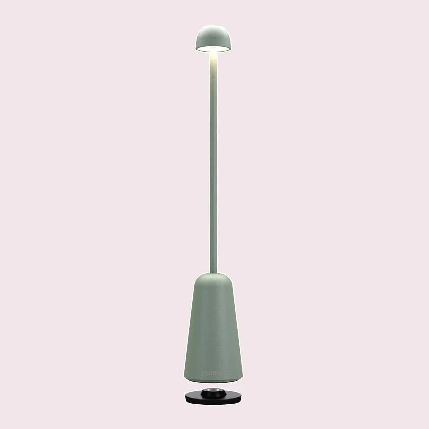 MINIMAX sage