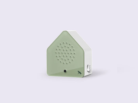 Relaxound Satellitebox Tree Frog Classic