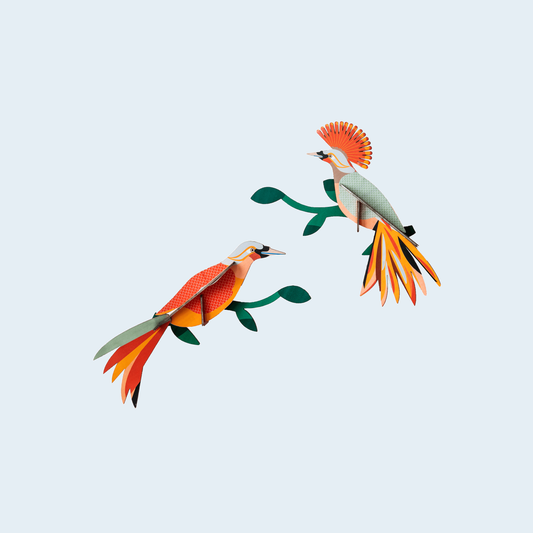 Studio Roof Paradise Bird Obi