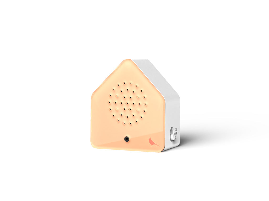 Relaxound Satellitebox Red Cardinal Classic