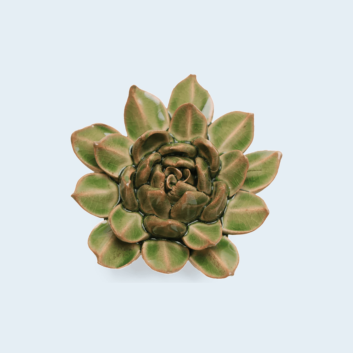Chive Avocado Green Firecracker Succulent - keramische wandbloem, vooraanzicht op pastelachtergrond