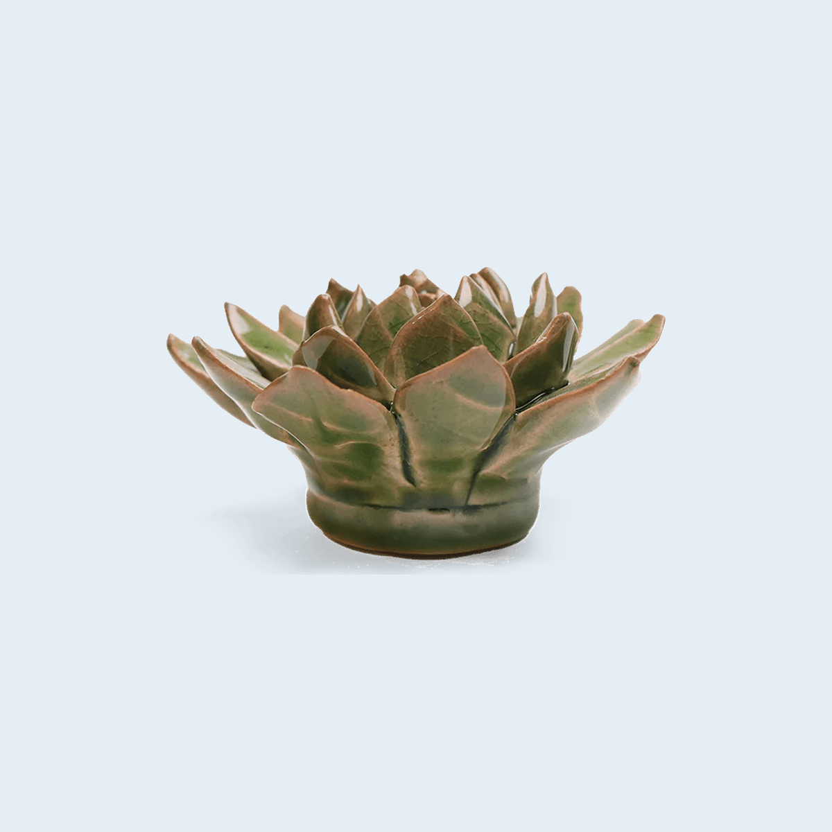 Chive Avocado Green Firecracker Succulent - keramische wandbloem, zijaanzicht op pastelachtergrond