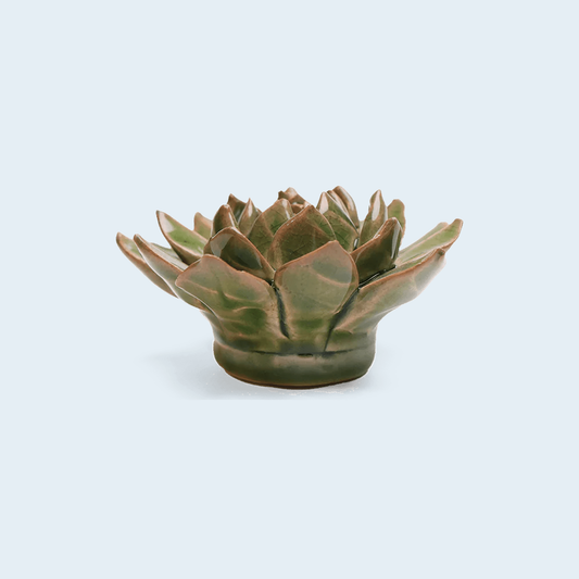 Chive Avocado Green Firecracker Succulent - keramische wandbloem, zijaanzicht op pastelachtergrond