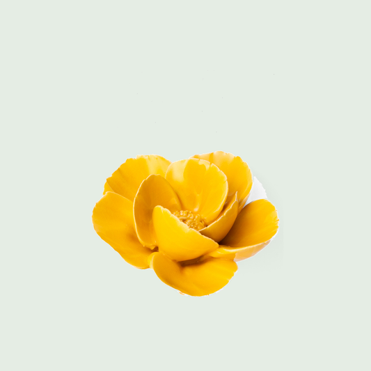Chive Burnt Yellow Poppy - keramische wandbloem, zijaanzicht op pastelachtergrond