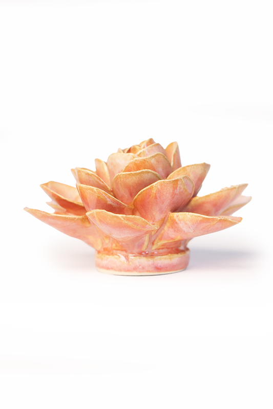 Peach Pink Begonia – foto 2