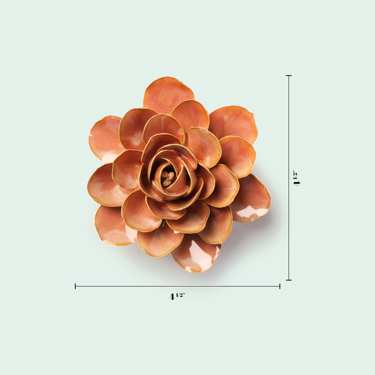 Chive Peach Pink Begonia - keramische wandbloem met maataanduiding
