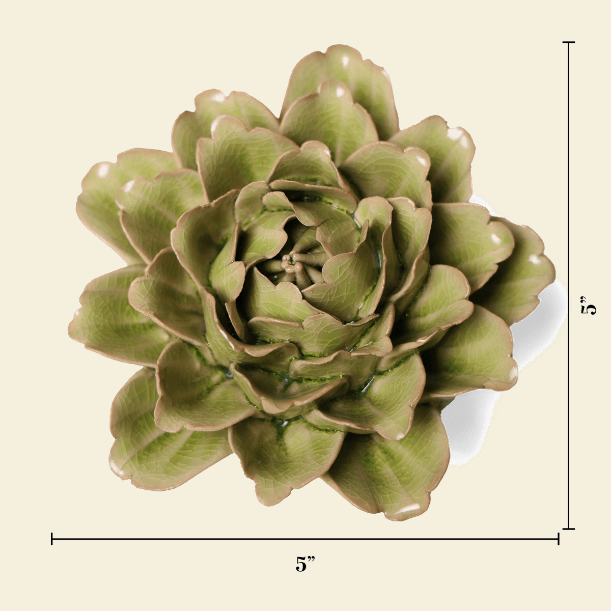 Peridot Comanche Peony – foto 3