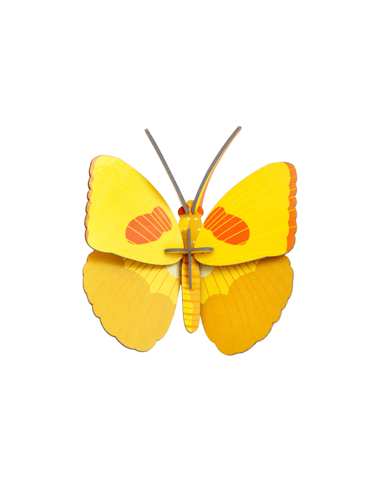 Studio Roof Yellow Butterfly