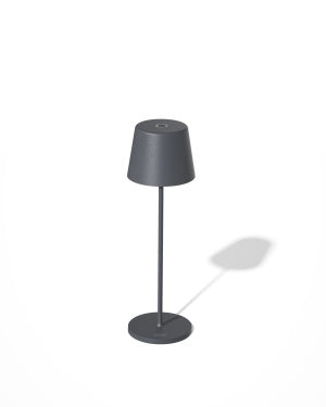 PALMA LED DIM. H36CM ANTRACIET