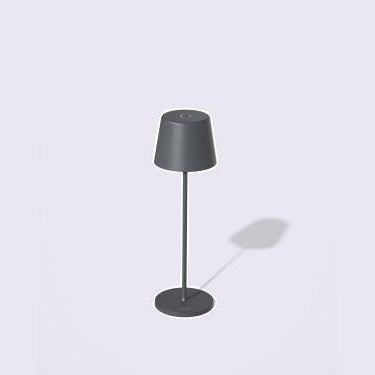 PALMA LED DIM. H36CM ANTRACIET