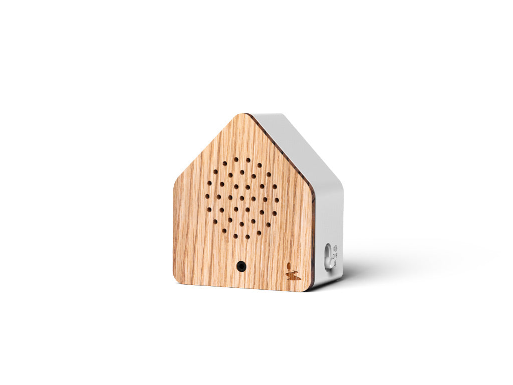 Satellitebox Forest Brook Wood