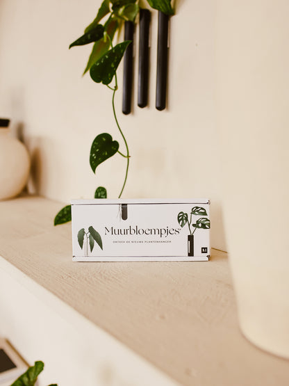 Muurbloempjes 1-pack – magnetisch wandvaasje in interieur