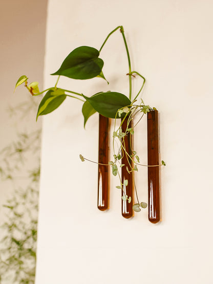 Muurbloempjes 3-pack Amber