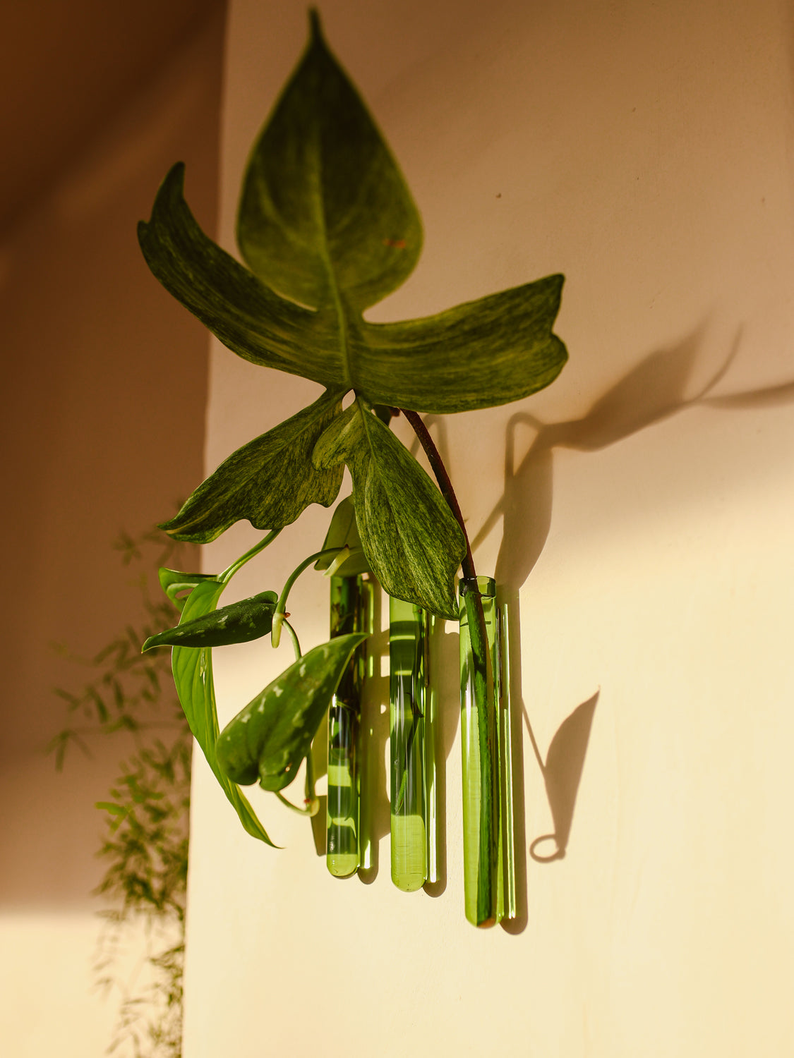 Muurbloempjes 3-pack Groen