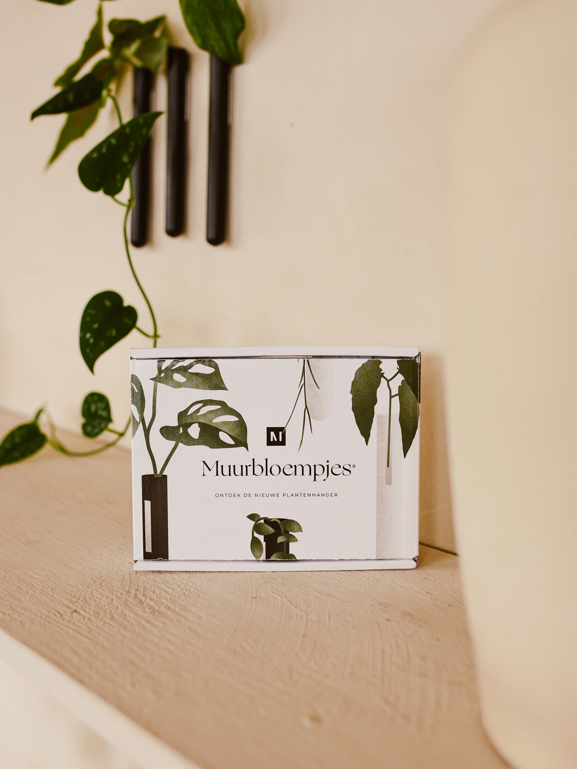 Muurbloempjes 3-pack – sfeerbeeld