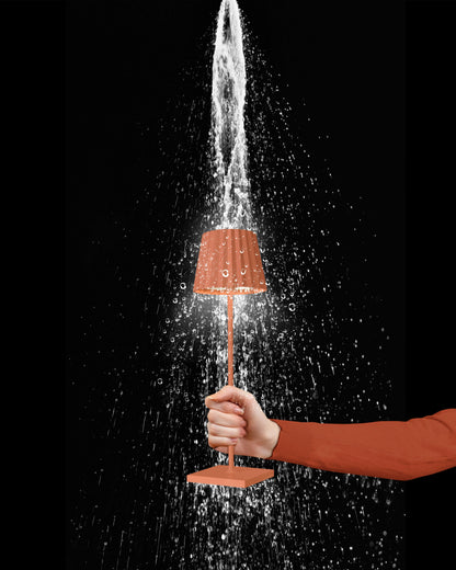 TROLL 2.0 battery orange