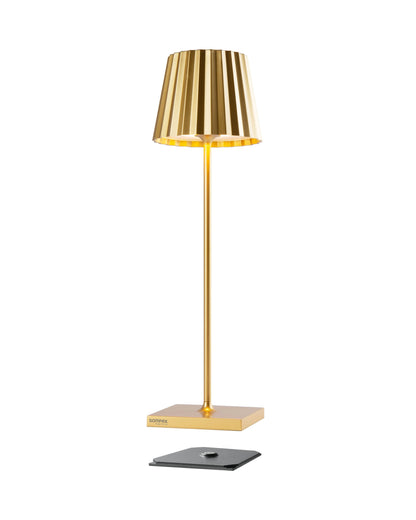 TROLL 2.0 battery Gold