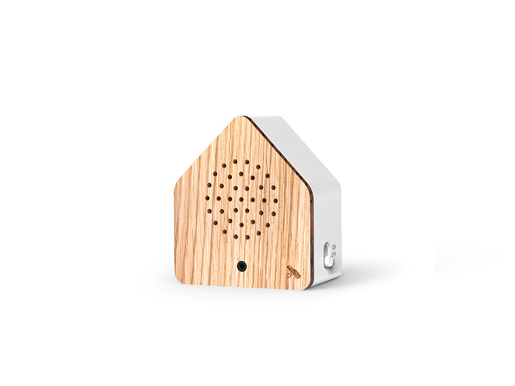 Satellitebox Tree Frog Wood