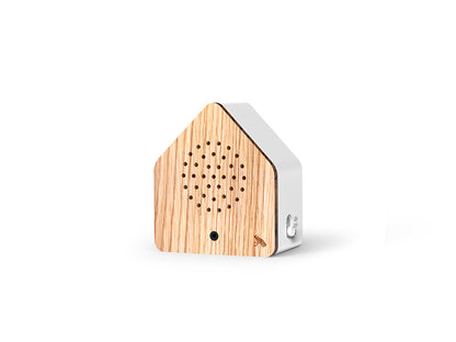 Satellitebox Tree Frog Wood