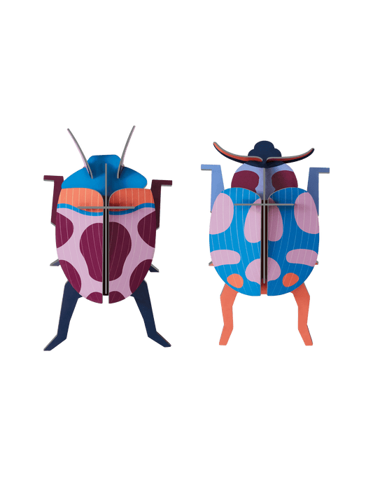 Studio Roof Coccinelle Couple