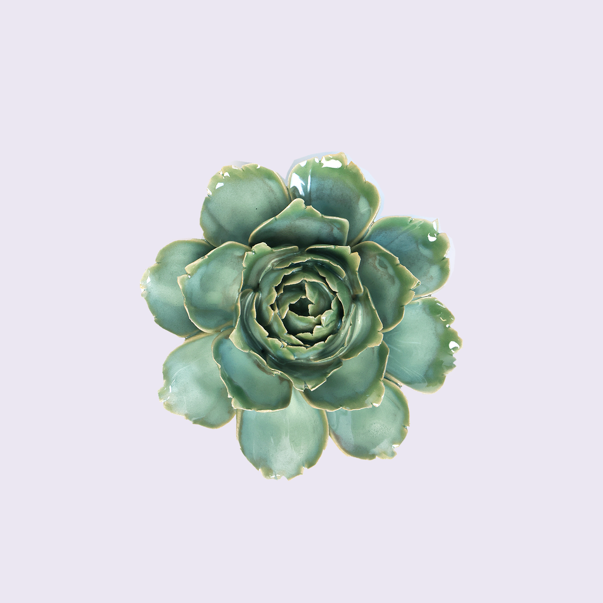 Chive Milk Teal Camellia - keramische wandbloem, vooraanzicht op pastelachtergrond