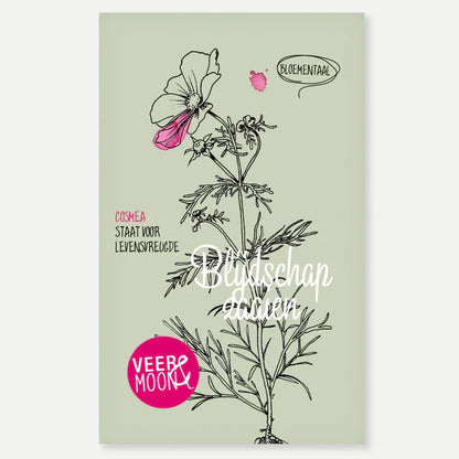 Bloemenzaden 'Blijdschap zaaien'