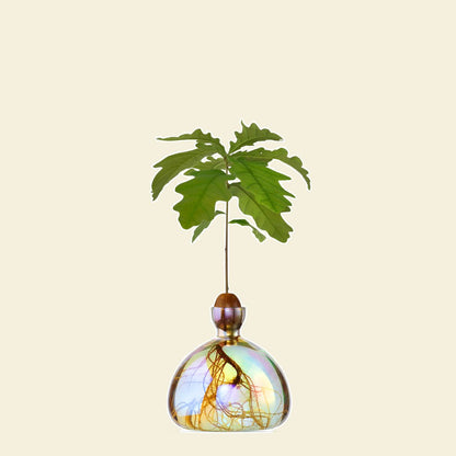 Ilex Studio Acorn Vase Cosmic Astra