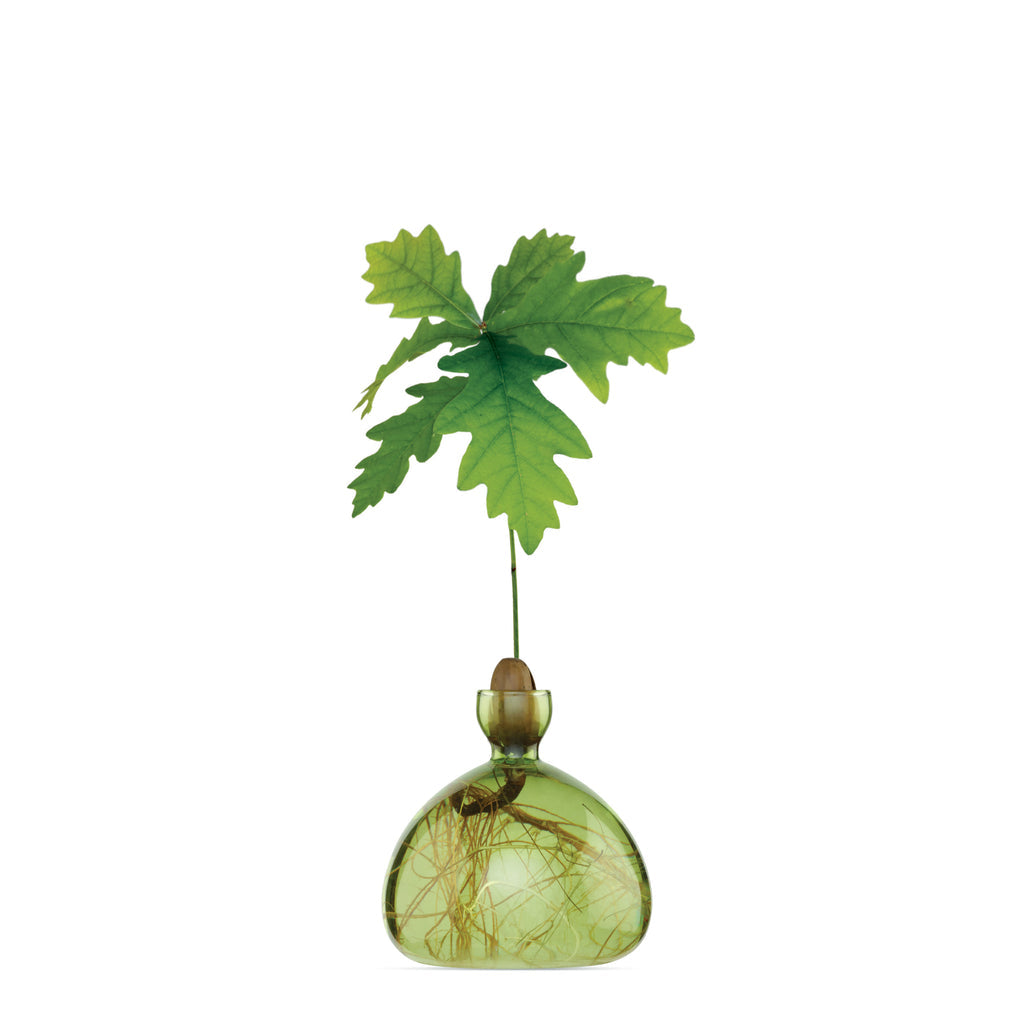 Ilex Studio Acorn Vase Grass Green
