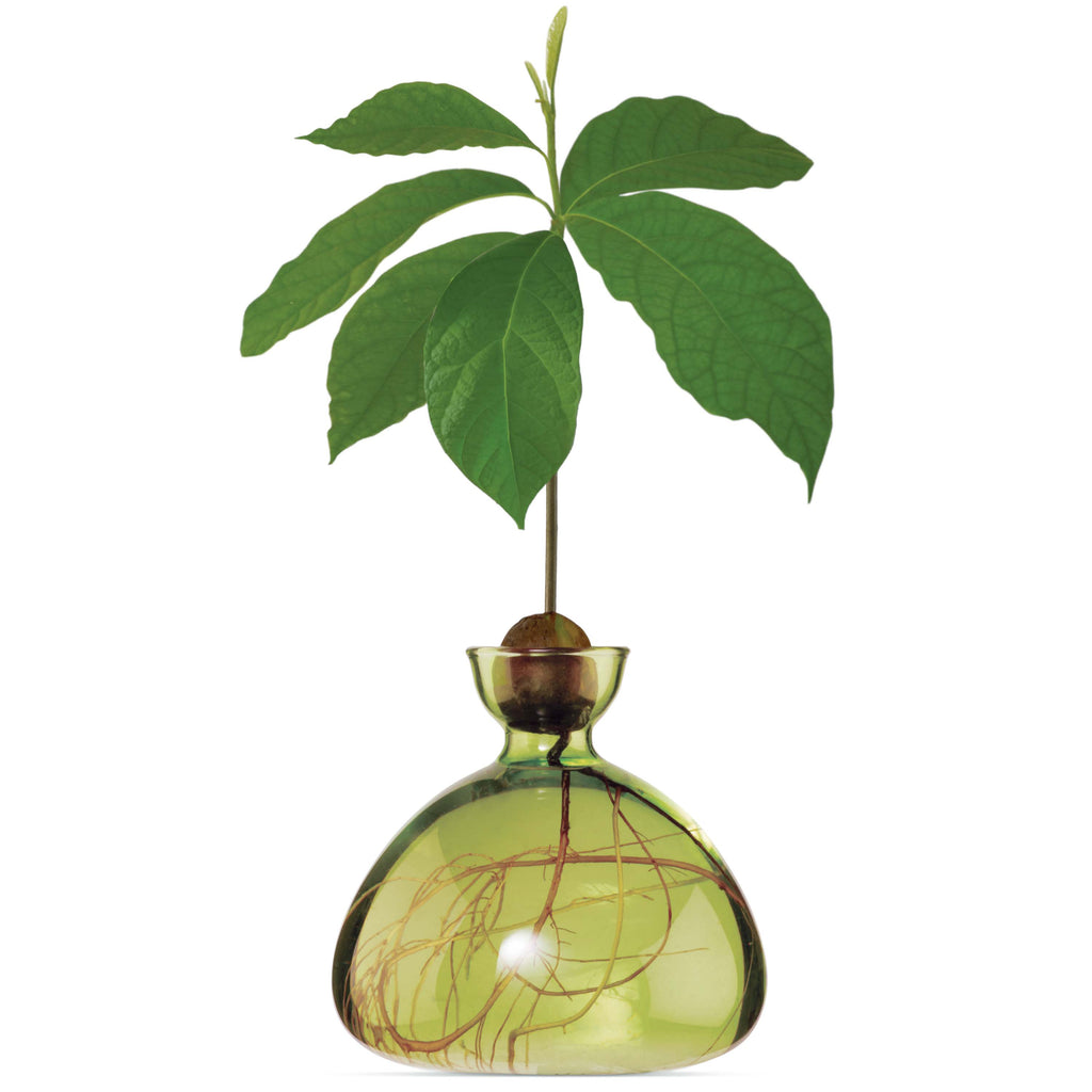 Ilex Studio Avocado Vase Grass Green