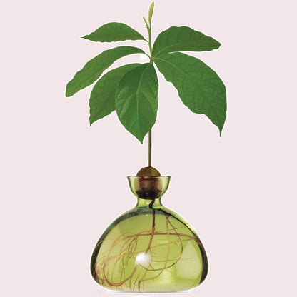 Ilex Studio Avocado Vase Grass Green
