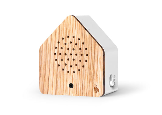 Satellitebox Tawny Owl Wood