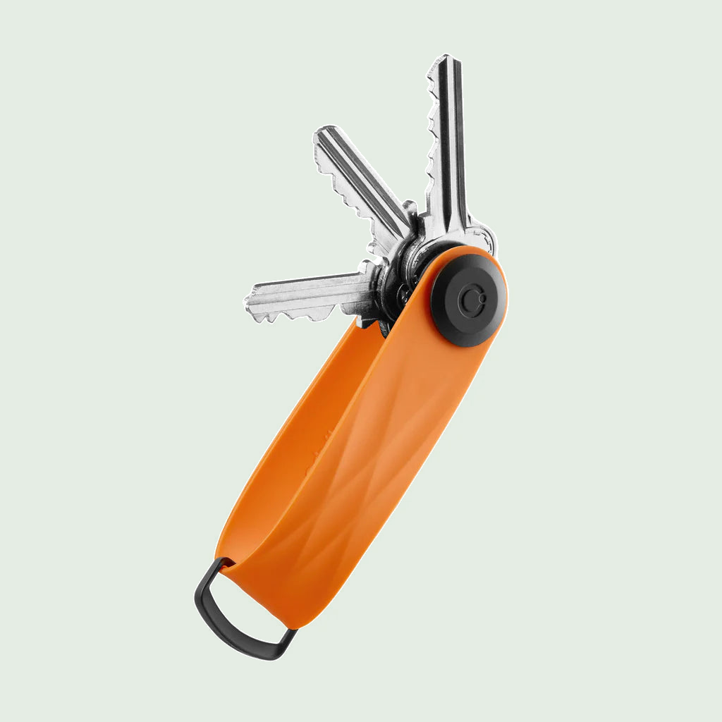 Active Tangerine Elastomeer 2.0 tegen een zachte pastelachtergrond (saliegroen)