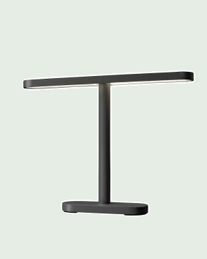 MERIDIAN BIG - Buitenlamp, antraciet tegen een zachte pastelachtergrond (saliegroen)