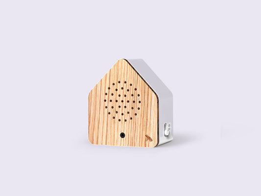 Relaxound Satellitebox Tree Frog Wood tegen een zachte pastelachtergrond (lila)