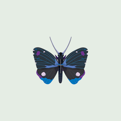 Studio ROOF Blue Diadem Butterfly tegen een zachte pastelachtergrond (saliegroen)