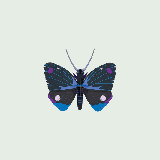 Studio ROOF Blue Diadem Butterfly tegen een zachte pastelachtergrond (saliegroen)