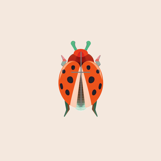 Studio ROOF Coccinelle Rouge tegen een zachte pastelachtergrond (perzik)