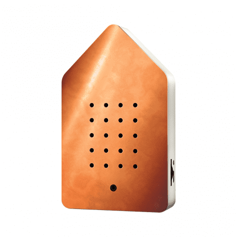 Birdybox Pure Copper