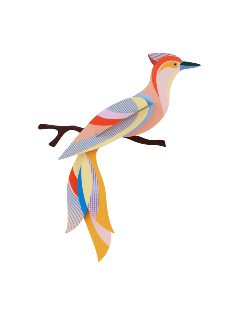 Studio Roof Paradise Bird Sabah
