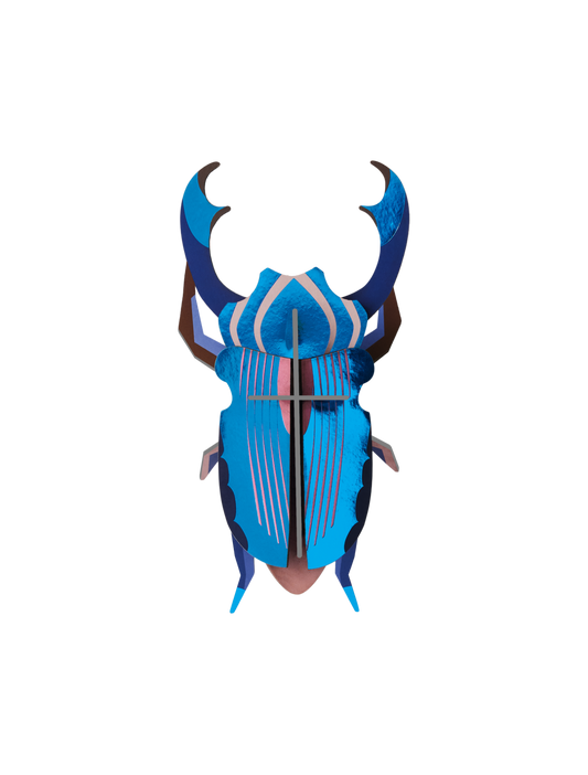 Studio ROOF Azure Stag Beetle