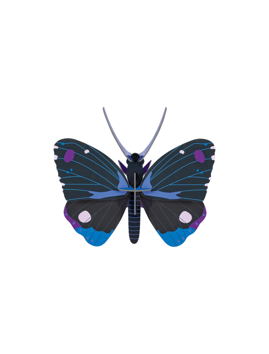 Studio ROOF Blue Diadem Butterfly