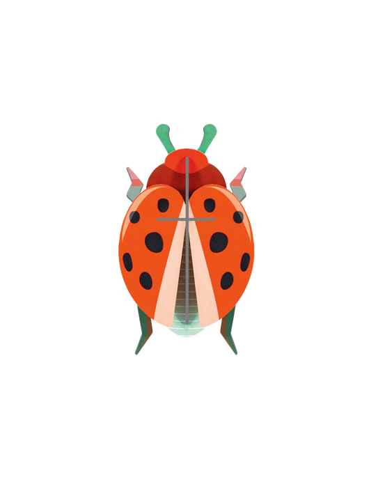 Studio ROOF Coccinelle Rouge