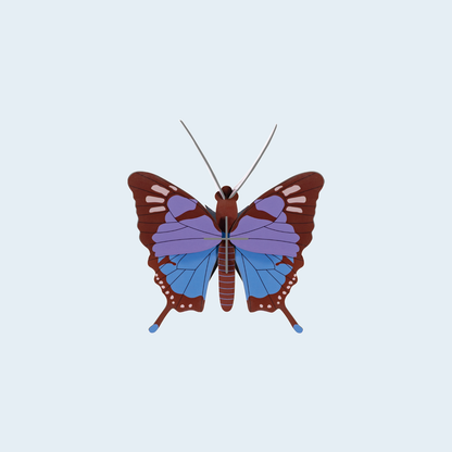 Studio ROOF Crysalus Butterfly